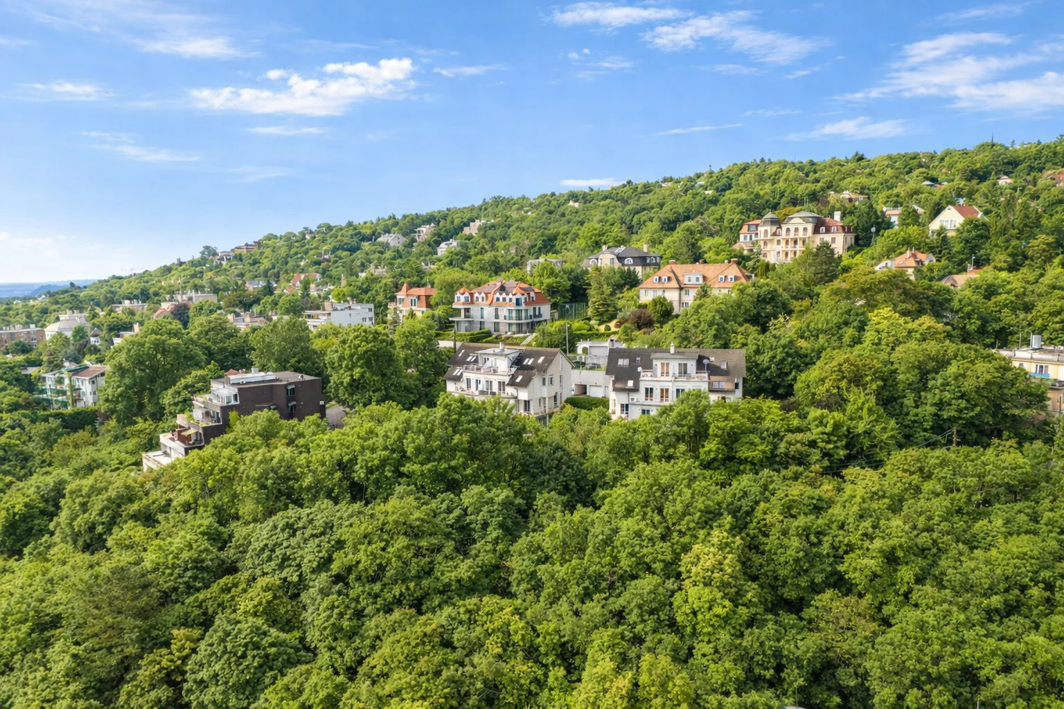 Zöldellő budai domboldal villákkal, kék ég alatt